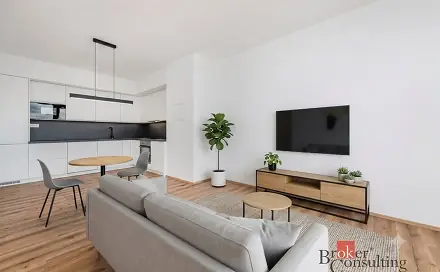 Pronájem bytu 2+kk 66 m², Železná, Plzeň - Jižní Předměstí