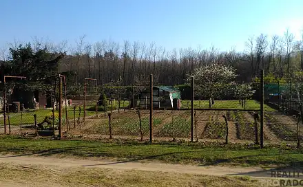 Prodej zahrady 585 m², Hodonín