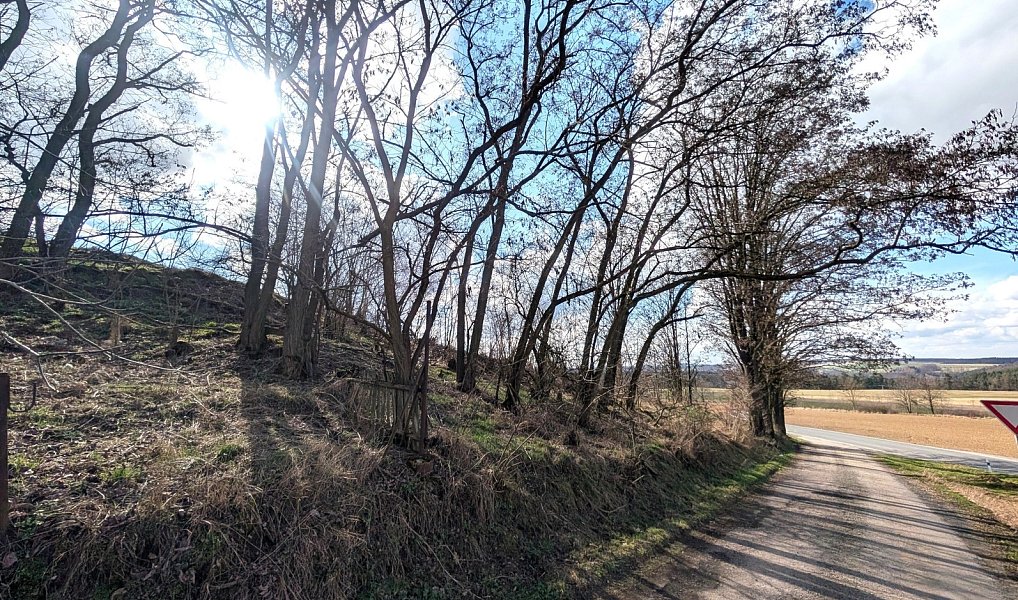 Prodej stavebního pozemku 898 m², Bušovice – náhled fotky 8