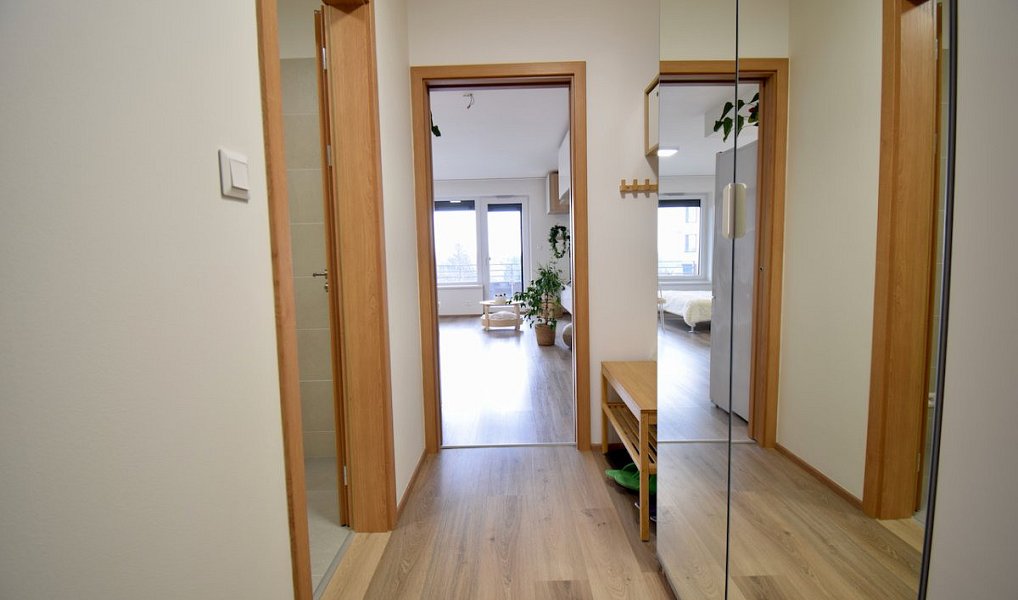 Pronájem bytu 1+kk 41 m², Olomouc – náhled fotky 14