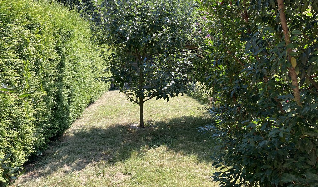 Prodej domu 130 m², Nupaky – náhled fotky 43