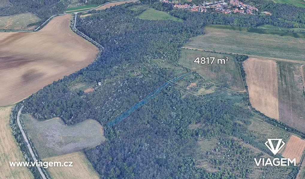Prodej lesa 4 817 m², Silůvky – náhled fotky 2