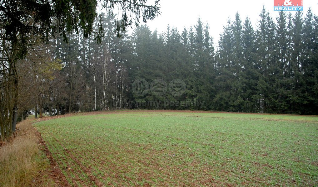 Prodej pole 2 465 m², Lomnice nad Popelkou – náhled fotky 2