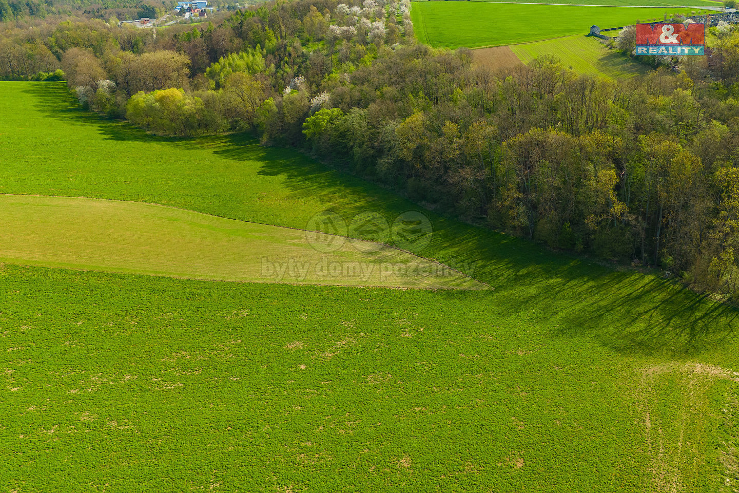 Prodej pole 4 100 m² — photo 4
