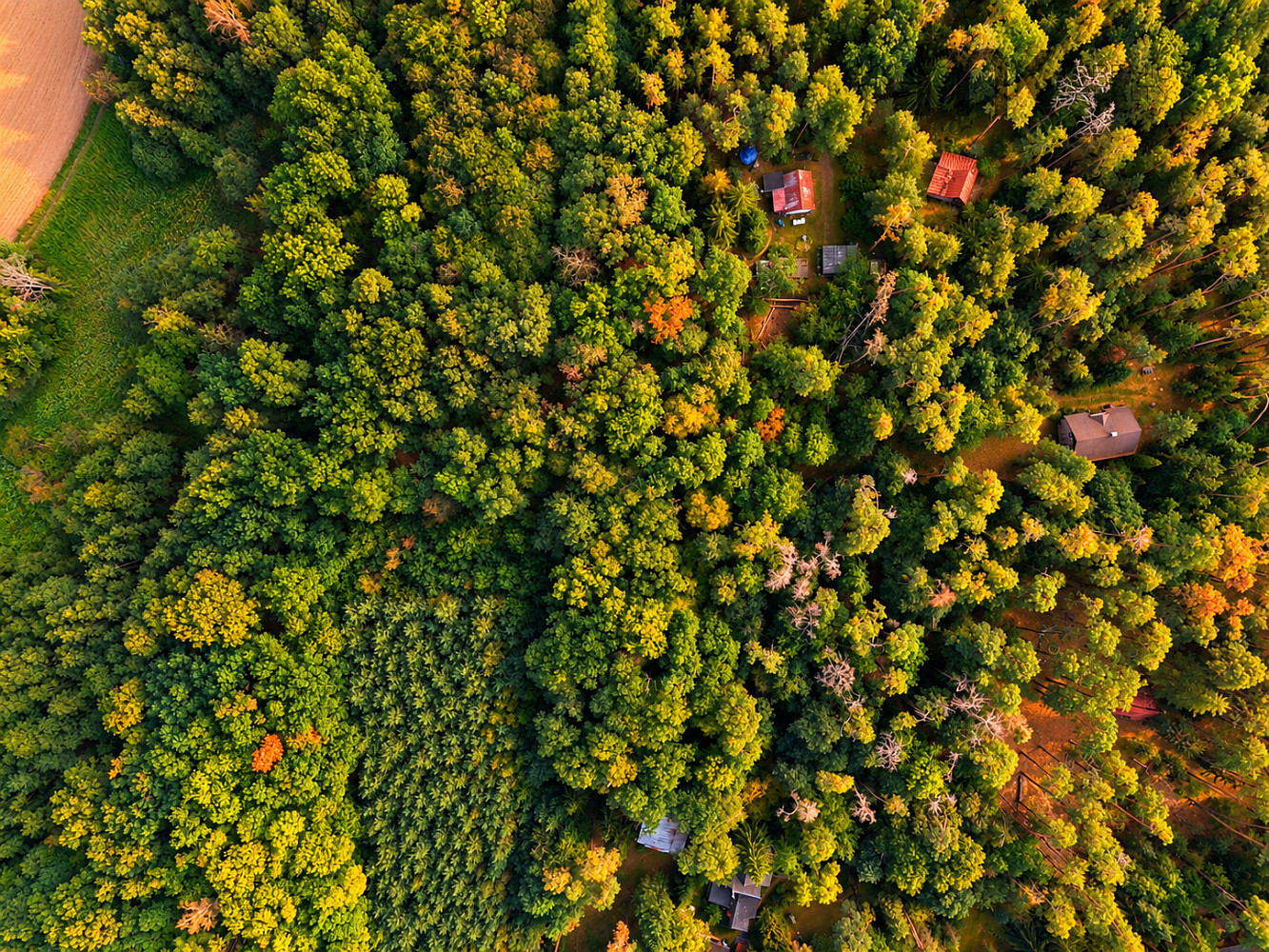 Prodej stavebního pozemku 4 383 m² – fotografie 3