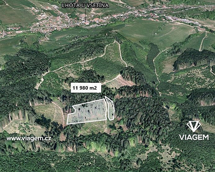 Prodej lesa 11 980 m²