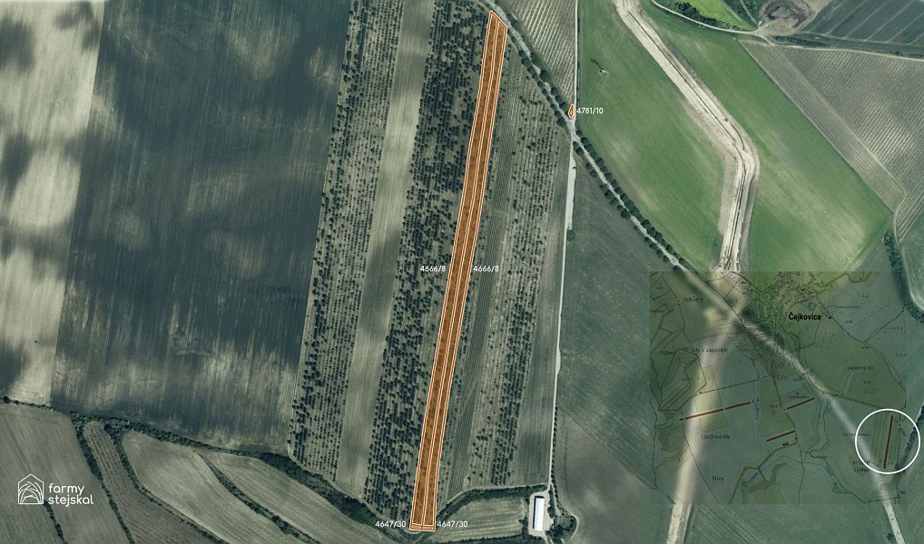 Prodej pole 194 311 m², Čejkovice – náhled fotky 7