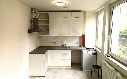Pronájem bytu 1+kk 23 m², Perucká, Praha 2 - Vinohrady