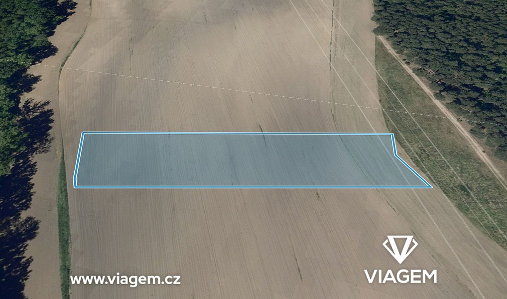 Prodej pole 1 446 m², Vacenovice – náhled fotky 2