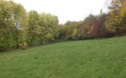 Dražba louky 570 m², Ryjice