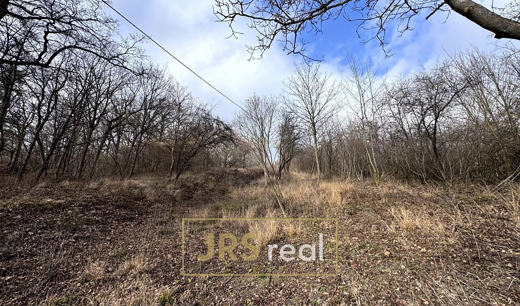 Prodej zahrady 8 821 m², Kroměříž – náhled fotky 9
