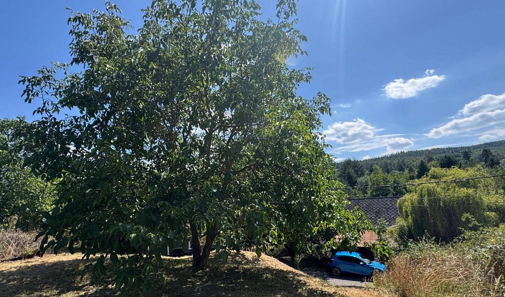 Prodej domu 73 m² s pozemkem 1 506 m², Svinaře – náhled fotky 12
