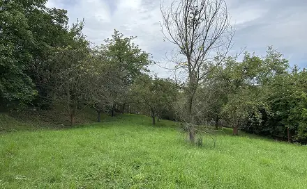 Prodej stavebního pozemku 1 252 m², Mládežnická, Bílina, okres Teplice