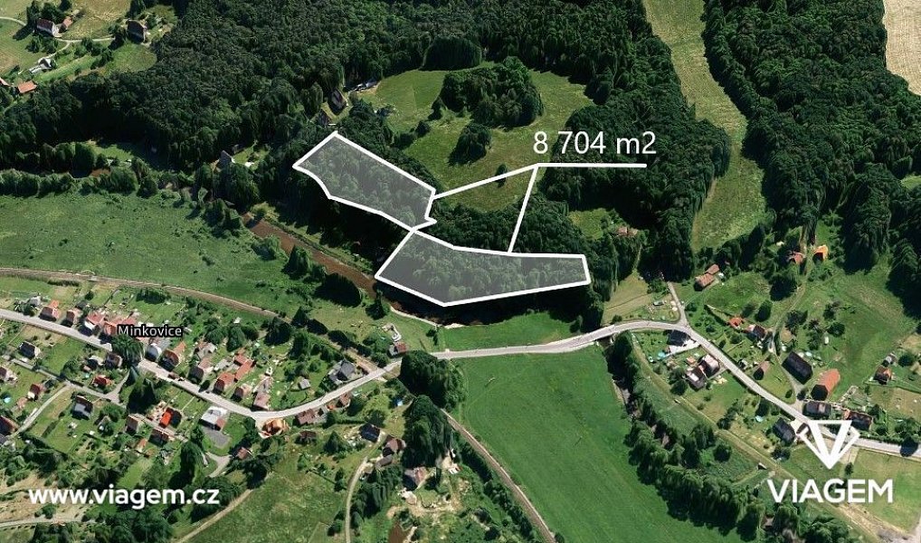 Prodej lesa 8 074 m², Višňová – náhled fotky 3