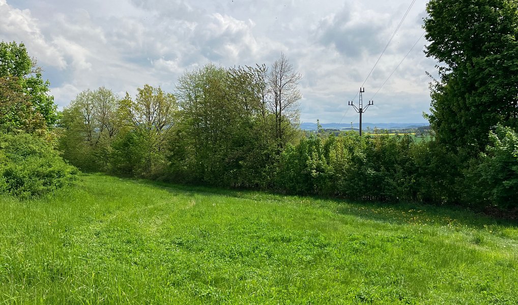 Prodej stavebního pozemku 5 367 m², Vysoký Chlumec – náhled fotky 8