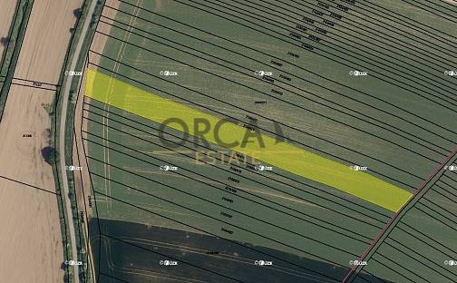 Prodej pole 1 891 m², Ždánice, okres Hodonín