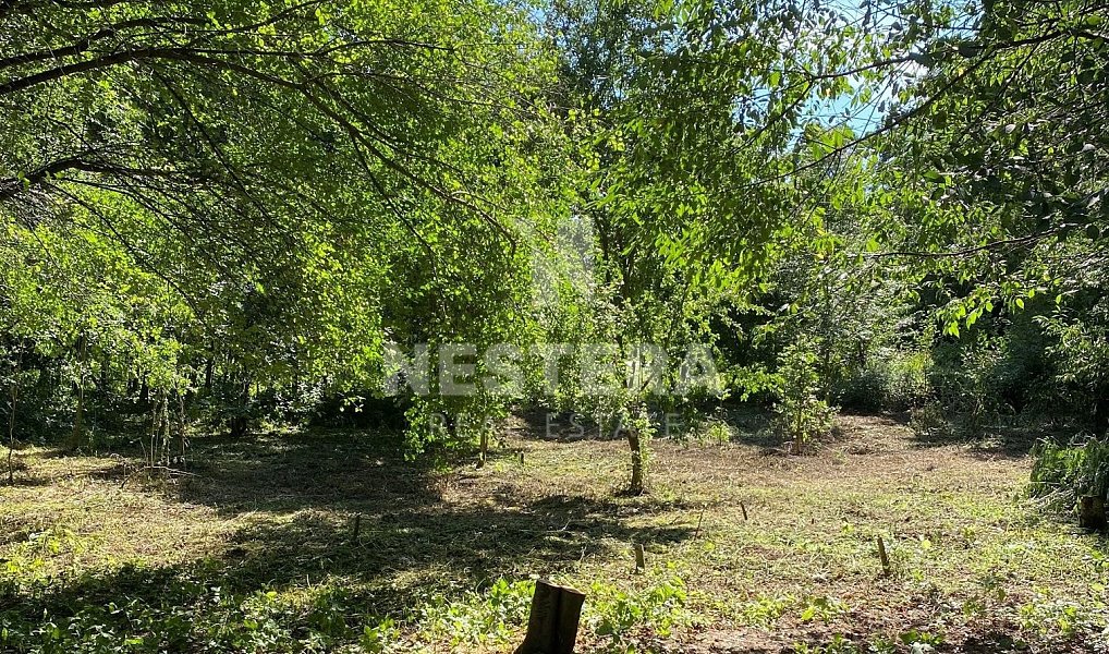 Prodej stavebního pozemku 5 321 m², Úholičky – náhled fotky 5