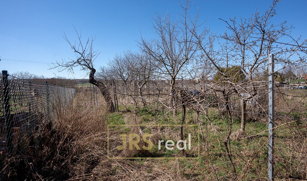 Prodej domu 490 m² s pozemkem 1 938 m², Dolní Dunajovice – náhled fotky 15