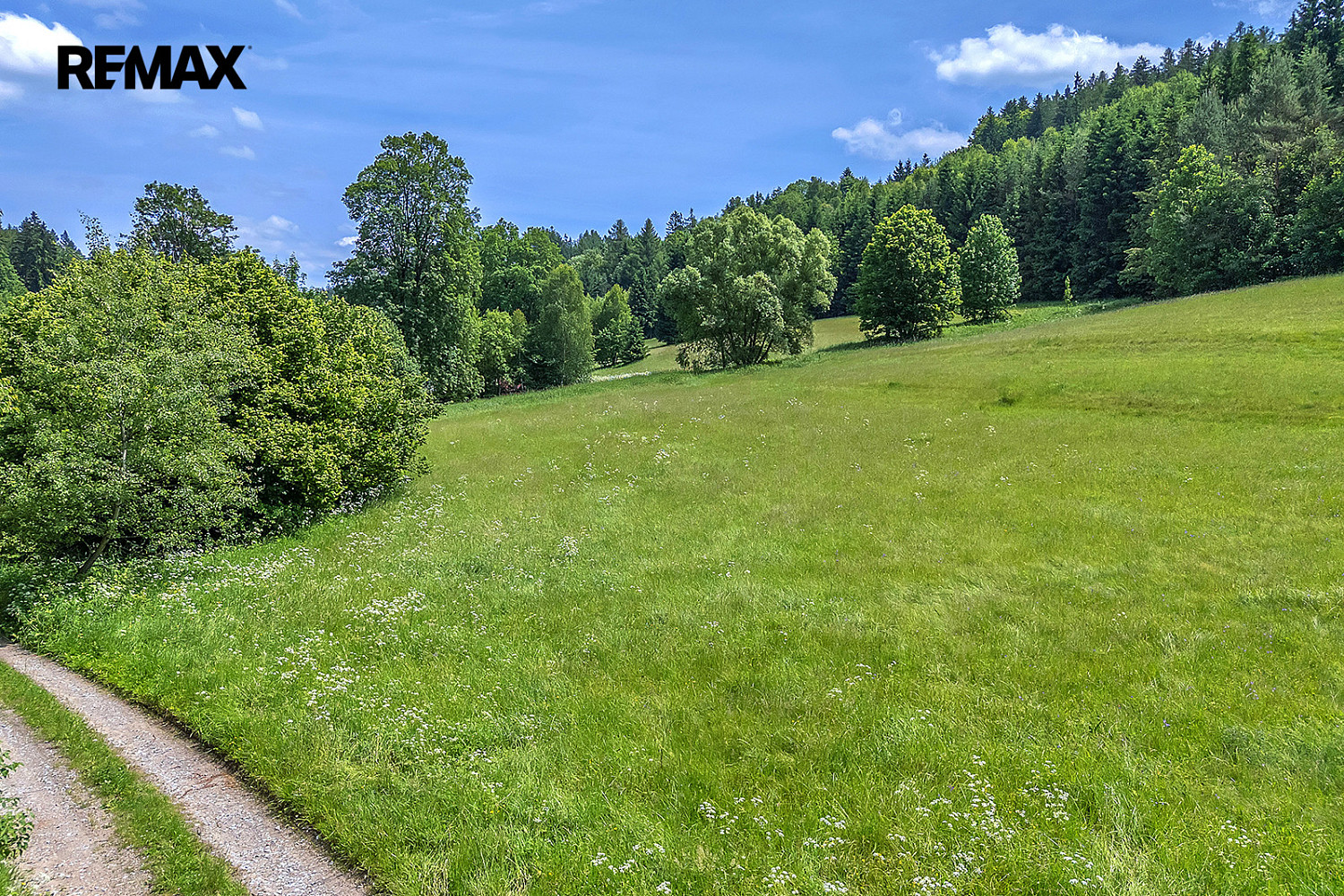 Prodej stavebního pozemku 3 948 m² – fotografie 2