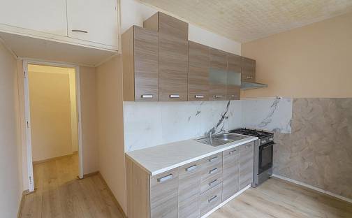 Prodej bytu 2+1 55 m², Maxe Švabinského, Most