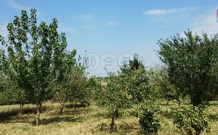 Prodej zahrady 5 861 m², Příbor, okres Nový Jičín