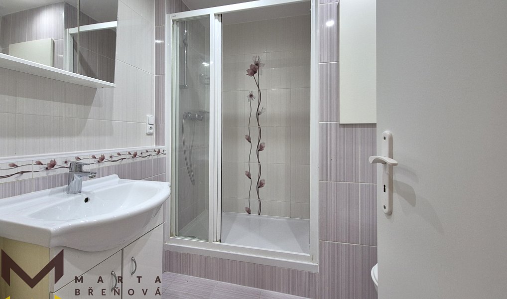 Pronájem bytu 1+kk 33 m², Brno – náhled fotky 6