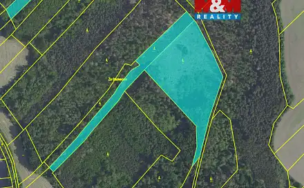 Prodej lesa 20 624 m², Svatý Mikuláš, okres Kutná Hora