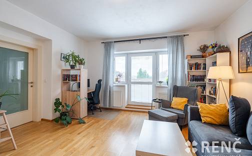 Pronájem bytu 2+1 62 m², Zemědělská, Brno - Černá Pole