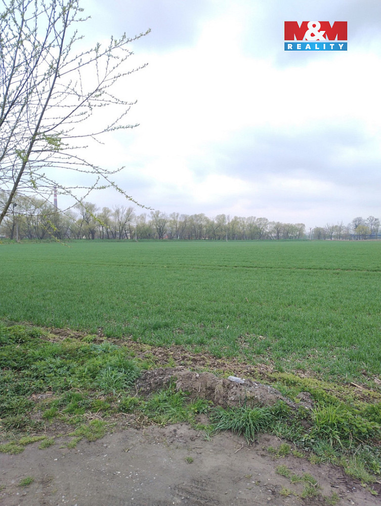 Prodej zahrady 250 m² – pohled 6
