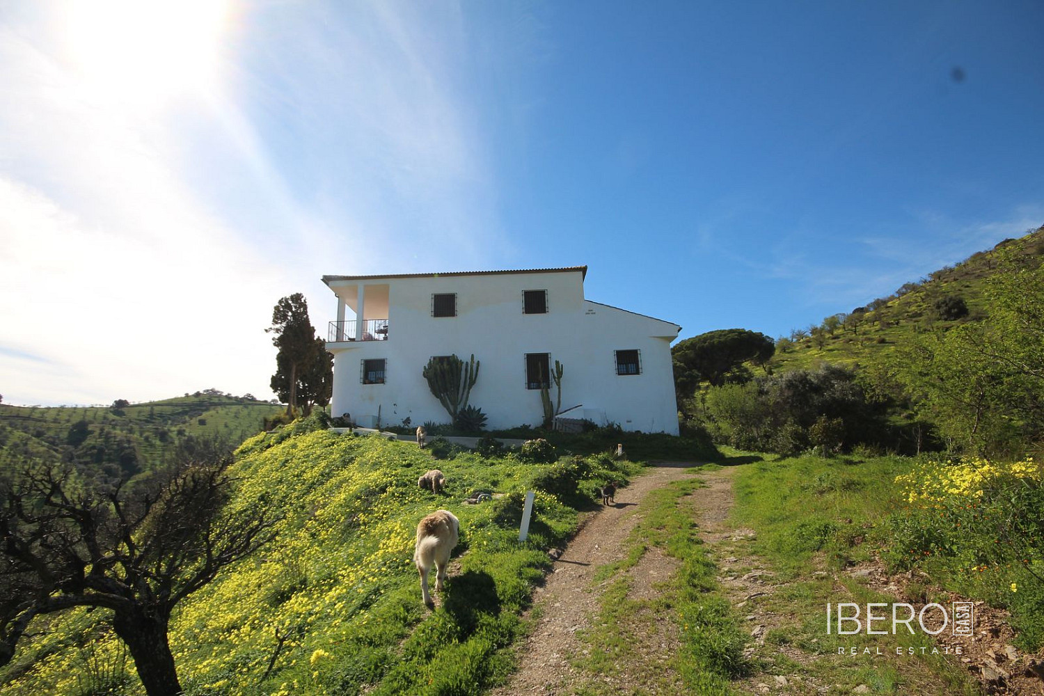Casa – Almogía, Valle del Guadalhorce - Vista 2