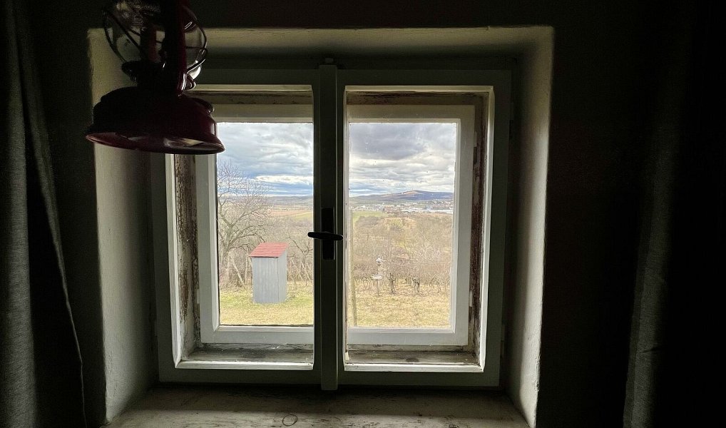 Prodej chaty/chalupy 20 m² s pozemkem 1 684 m², Kyjov – náhled fotky 6