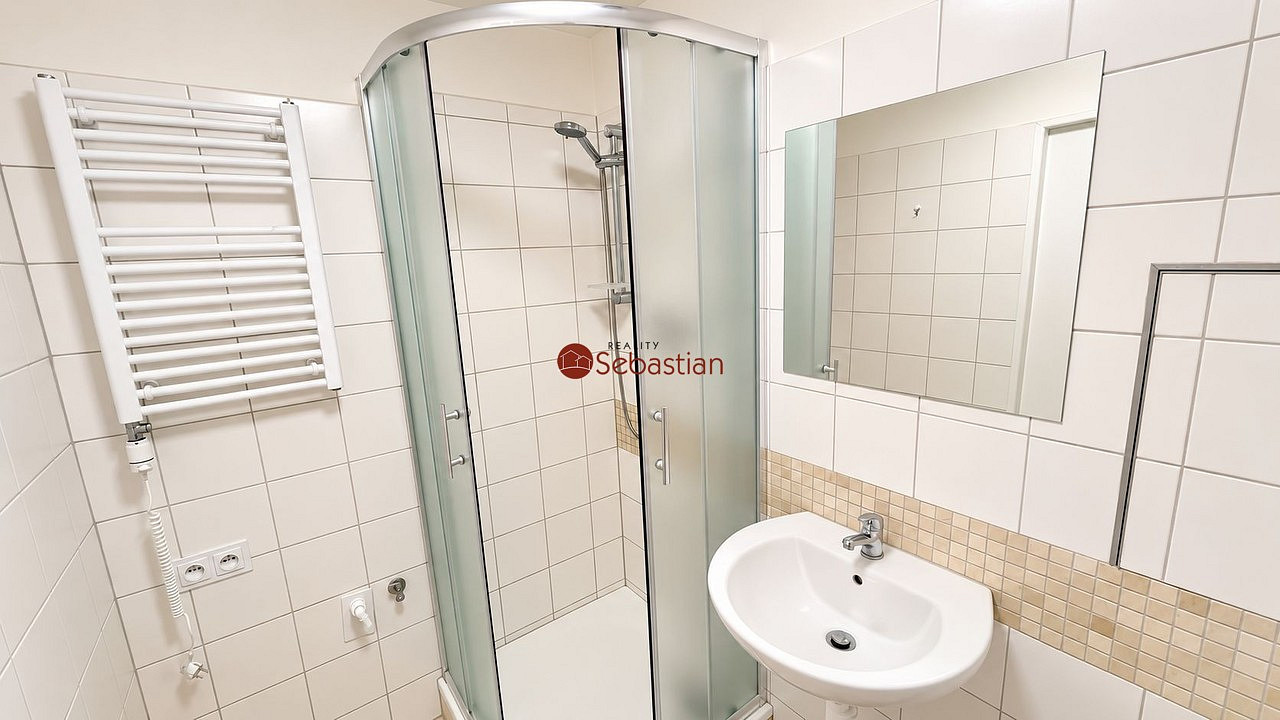 Pronájem bytu 1+1 41 m² – fotografie 5