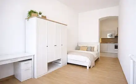 Pronájem bytu 1+1 31 m², Koliště, Brno - Zábrdovice