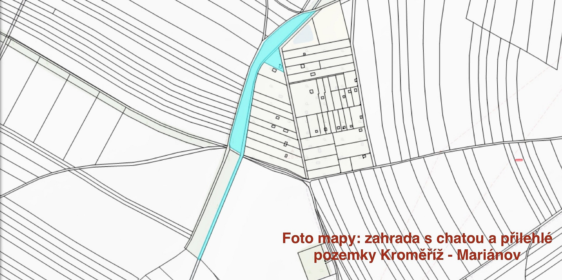 Fotka 8 z 9