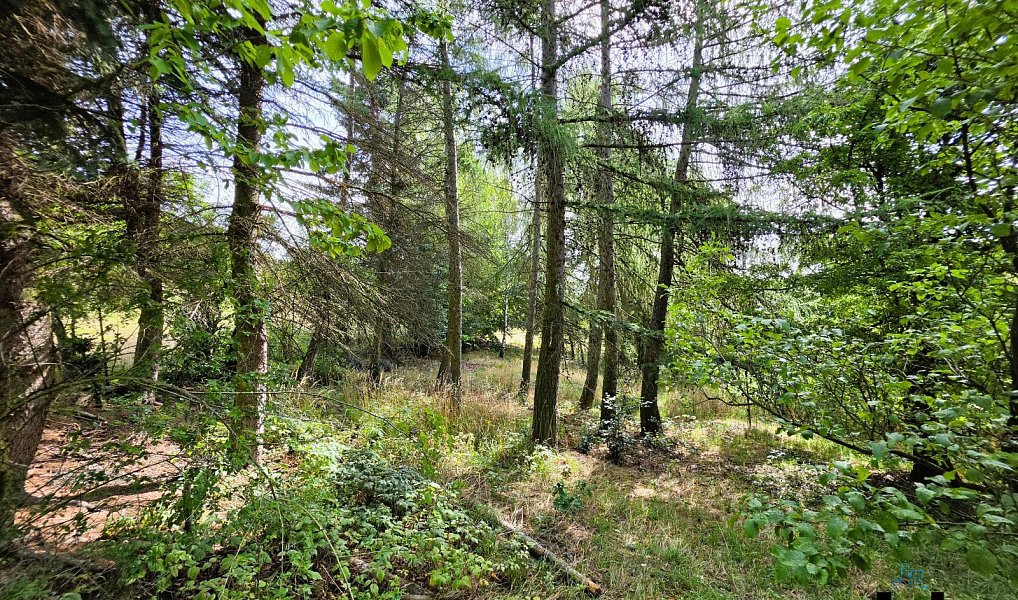 Prodej domu 160 m² s pozemkem 4 400 m², Litvínov – náhled fotky 26
