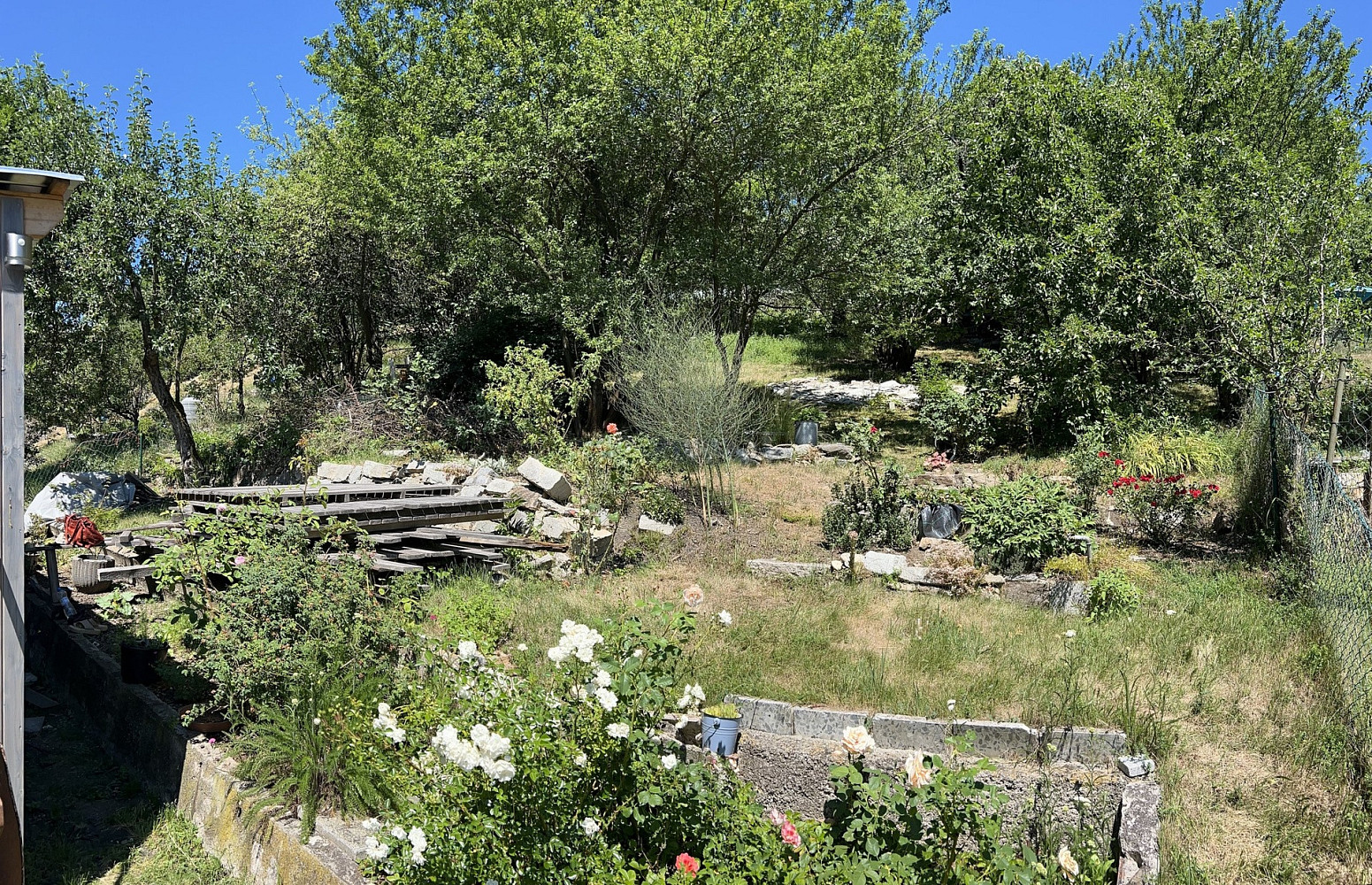 Prodej zahrady 501 m² — photo 4