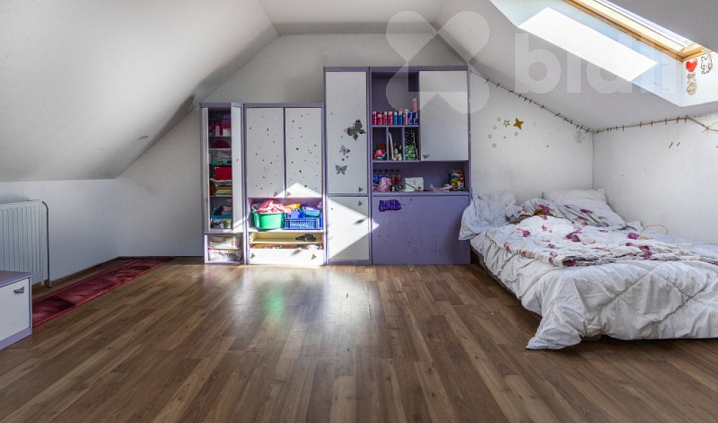 Prodej domu 415 m² s pozemkem 888 m², Kraselov – náhled fotky 16