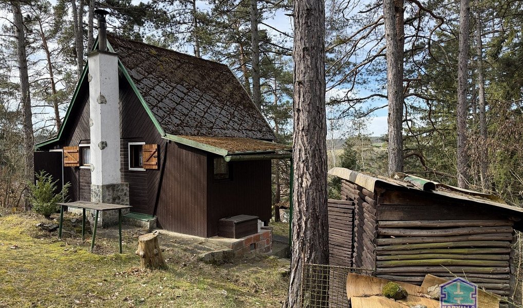 Prodej chaty/chalupy 40 m² s pozemkem 26 m², Čerňovice – náhled fotky 18