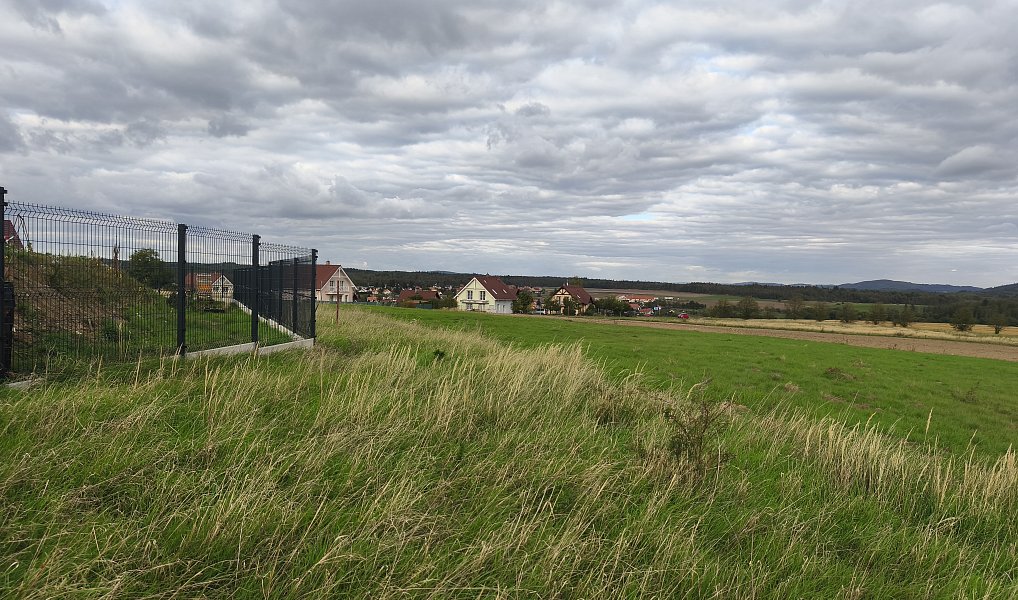 Prodej louky 3 629 m², Stará Huť – náhled fotky 4