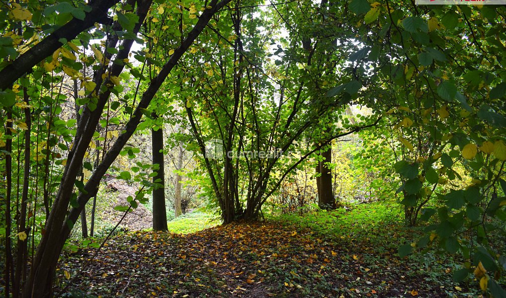 Prodej stavebního pozemku 1 535 m², Benešov – náhled fotky 6