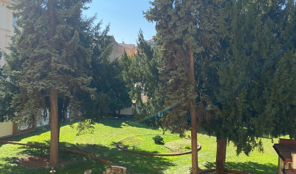 Pronájem kanceláře 174 m², Brno – náhled fotky 10