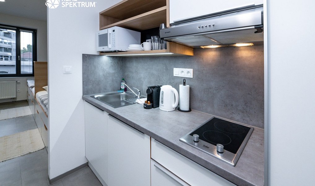 Pronájem bytu 1+kk 24 m², Brno – náhled fotky 3