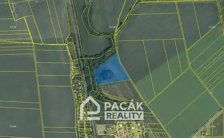 Prodej pole 15 995 m², Kožušany-Tážaly - Kožušany, okres Olomouc