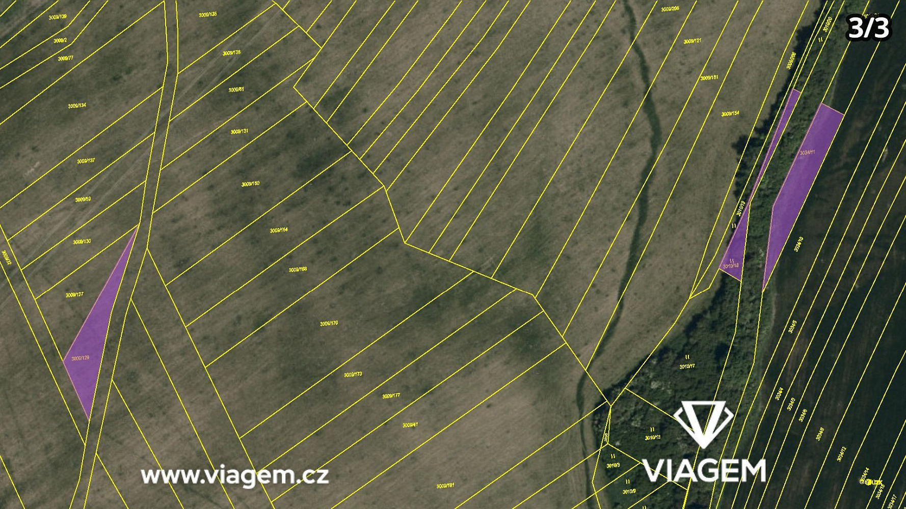 Fotka 16 z 16