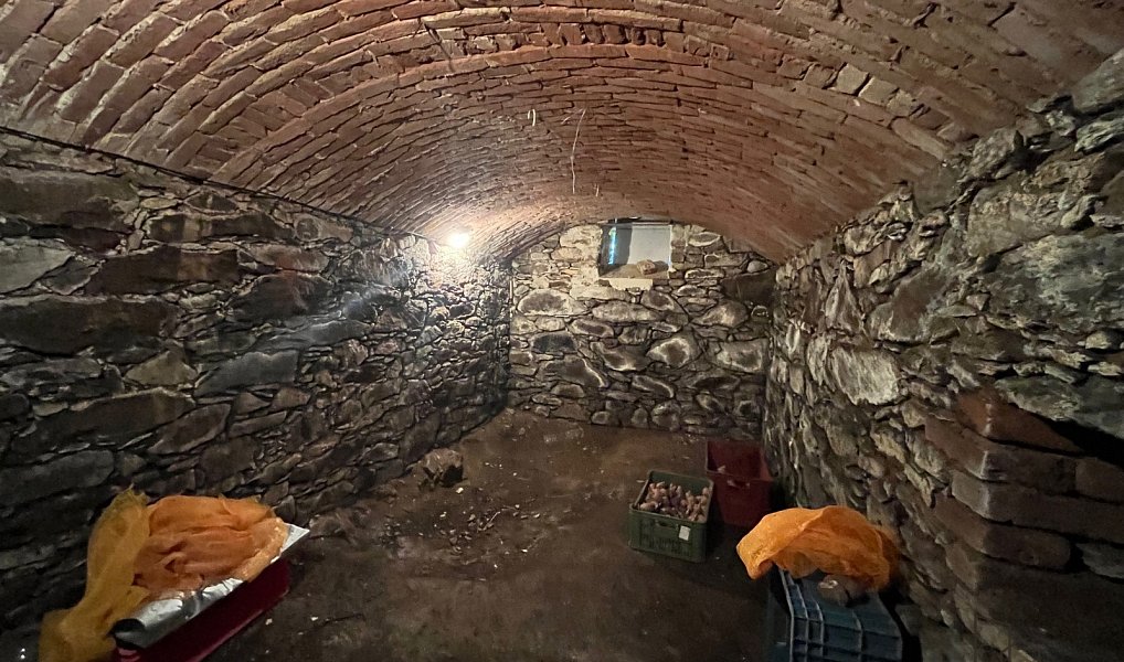 Prodej chaty/chalupy 284 m² s pozemkem 687 m², Nová Ves v Horách – náhled fotky 10