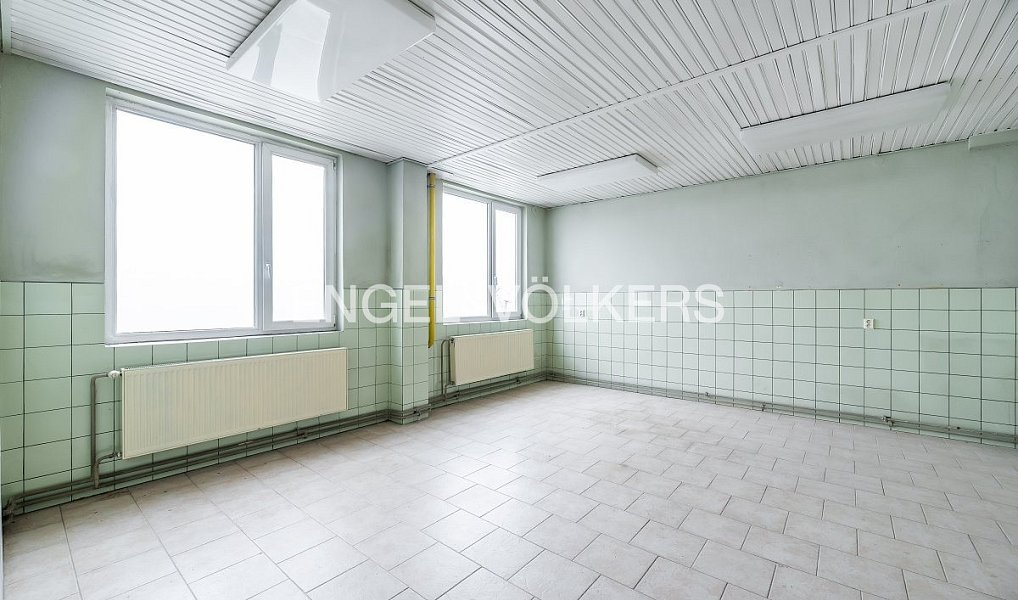 Pronájem skladovacích prostor 3 100 m², Panenské Břežany – náhled fotky 4