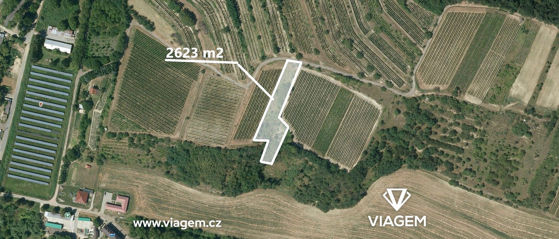 Prodej pole 2 623 m² – fotografie 3