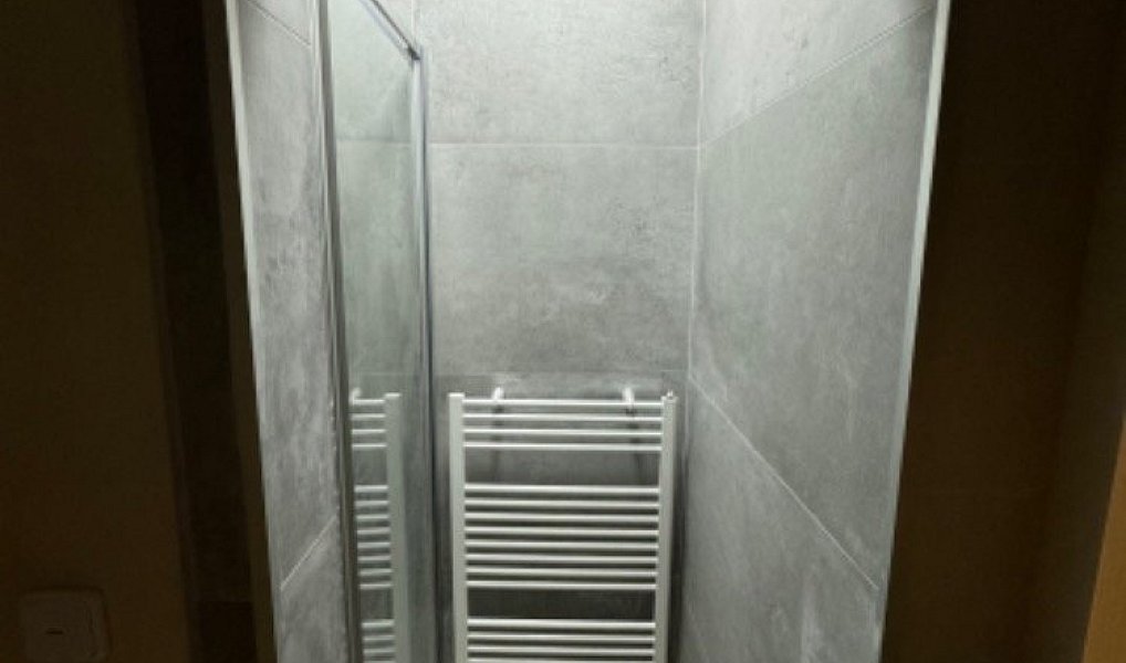 Prodej domu 160 m² s pozemkem 1 m², Karlovy Vary – náhled fotky 9