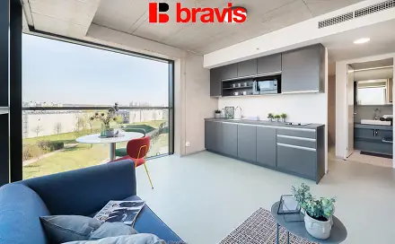 Pronájem bytu 1+kk 24 m², Dornych, Brno - Trnitá