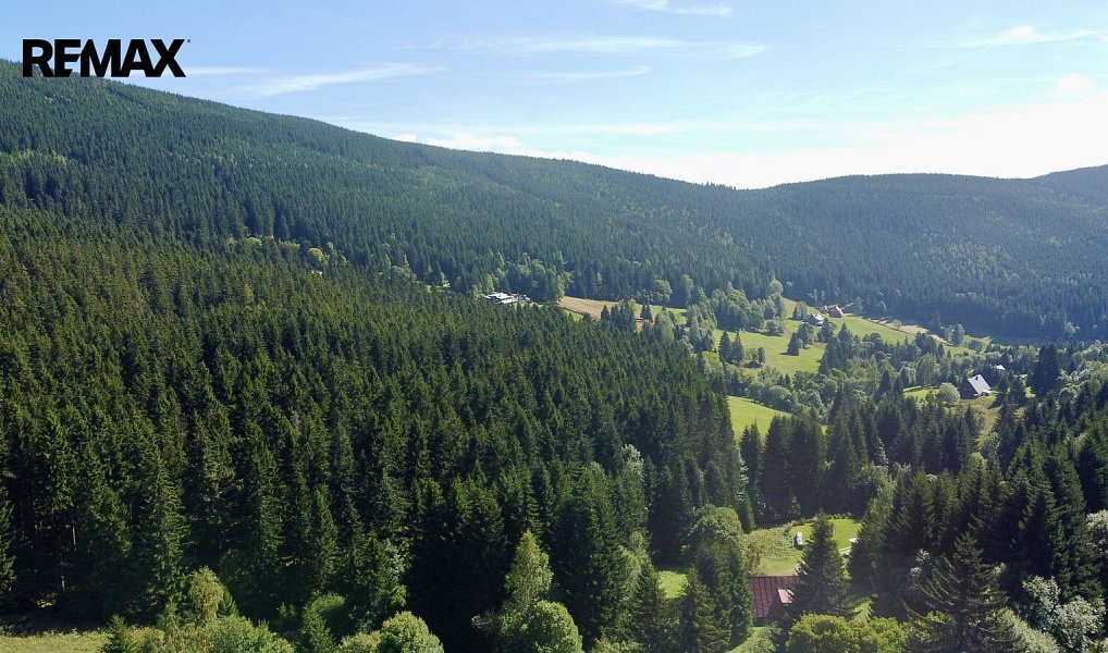 Prodej louky 28 918 m², Malá Úpa – náhled fotky 18